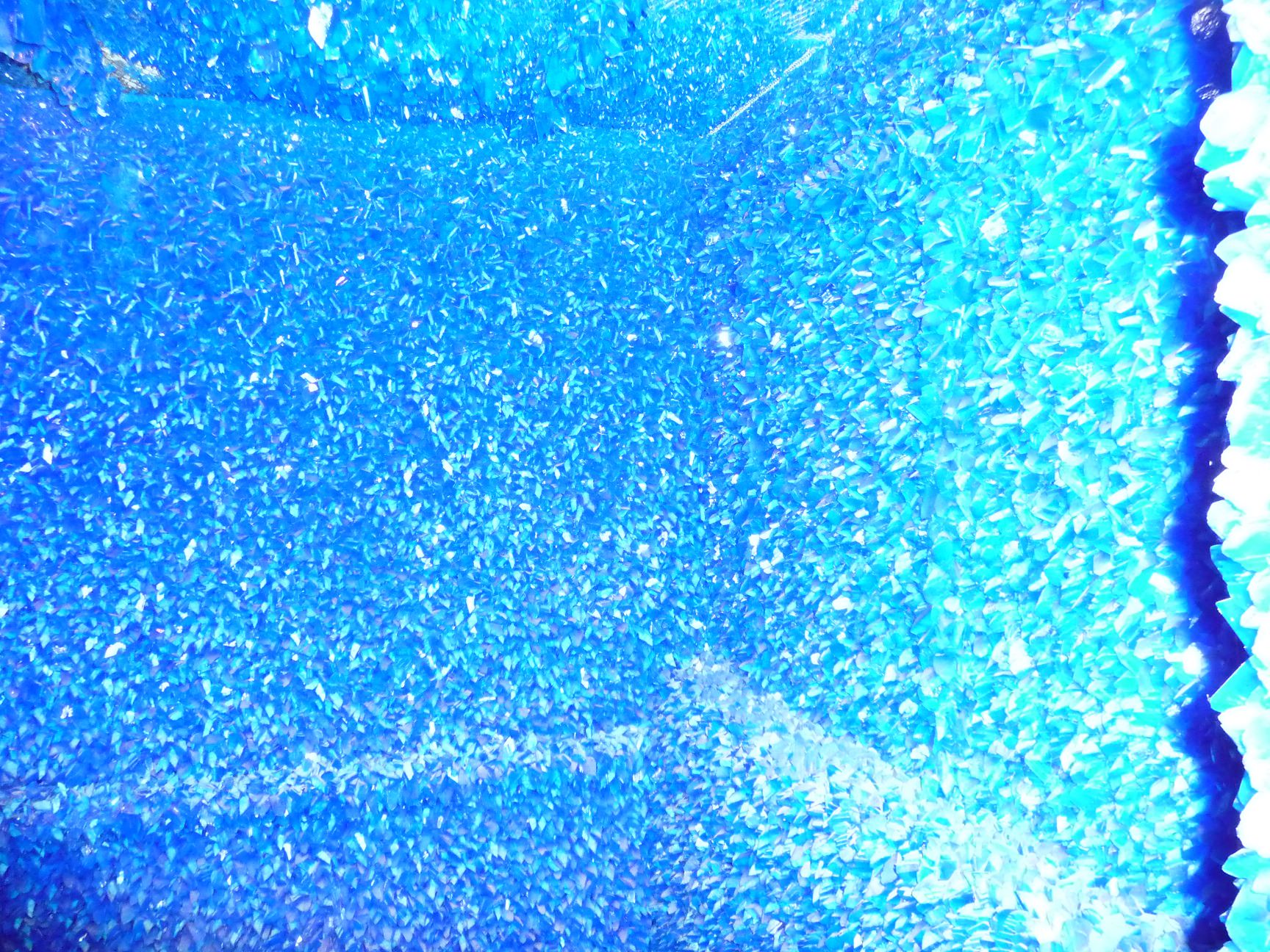 copper sulphate exposure