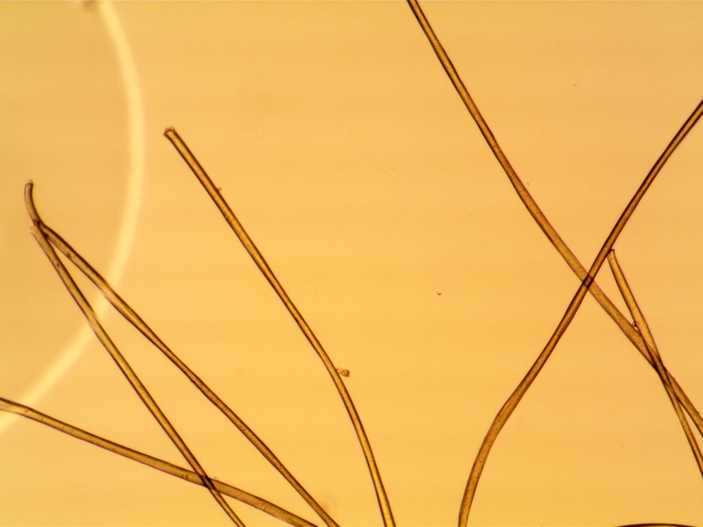 Fabric air distribution  socket material