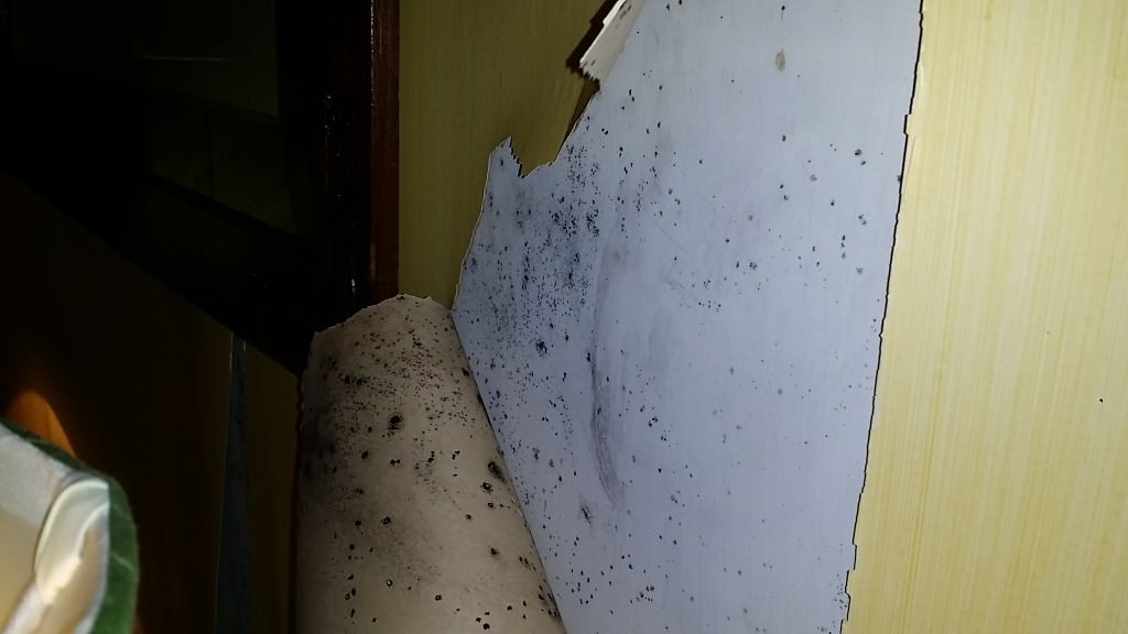 20141020_182647_Android