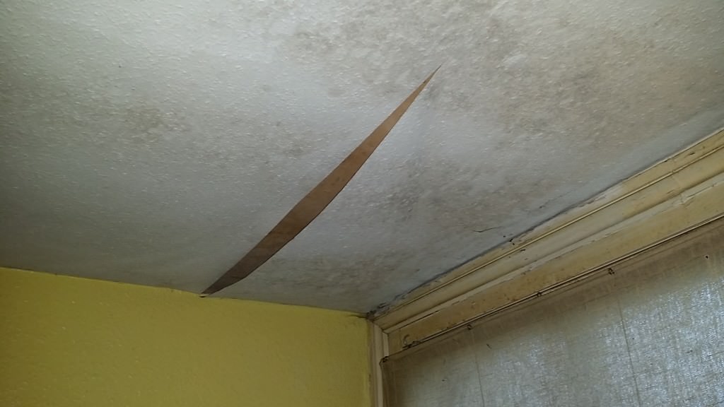 mould and condensation on ceiling