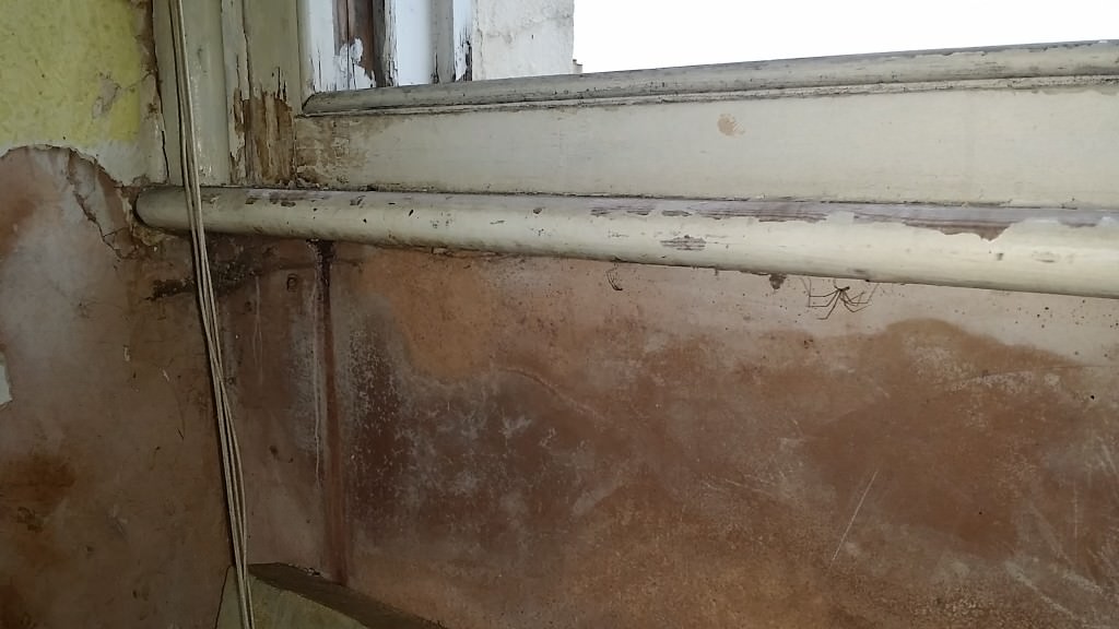 wet wall with mould