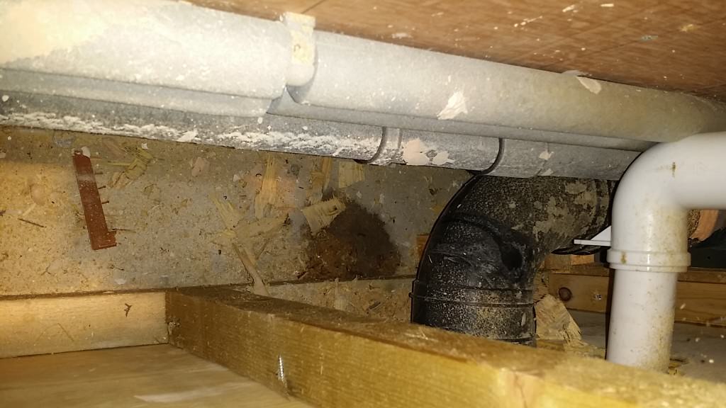 C47,master bedroom en suite, toilet cister leak