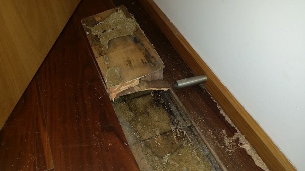 C47,s6,rooting floor, bedroom