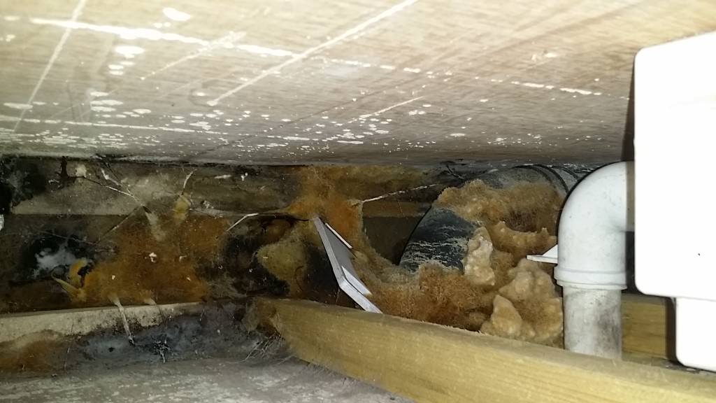 C47,s7, bedroom ensuite, behind toilet