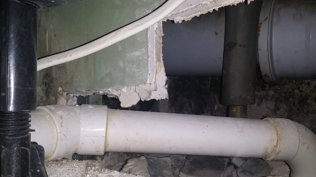 mould in wall cavity