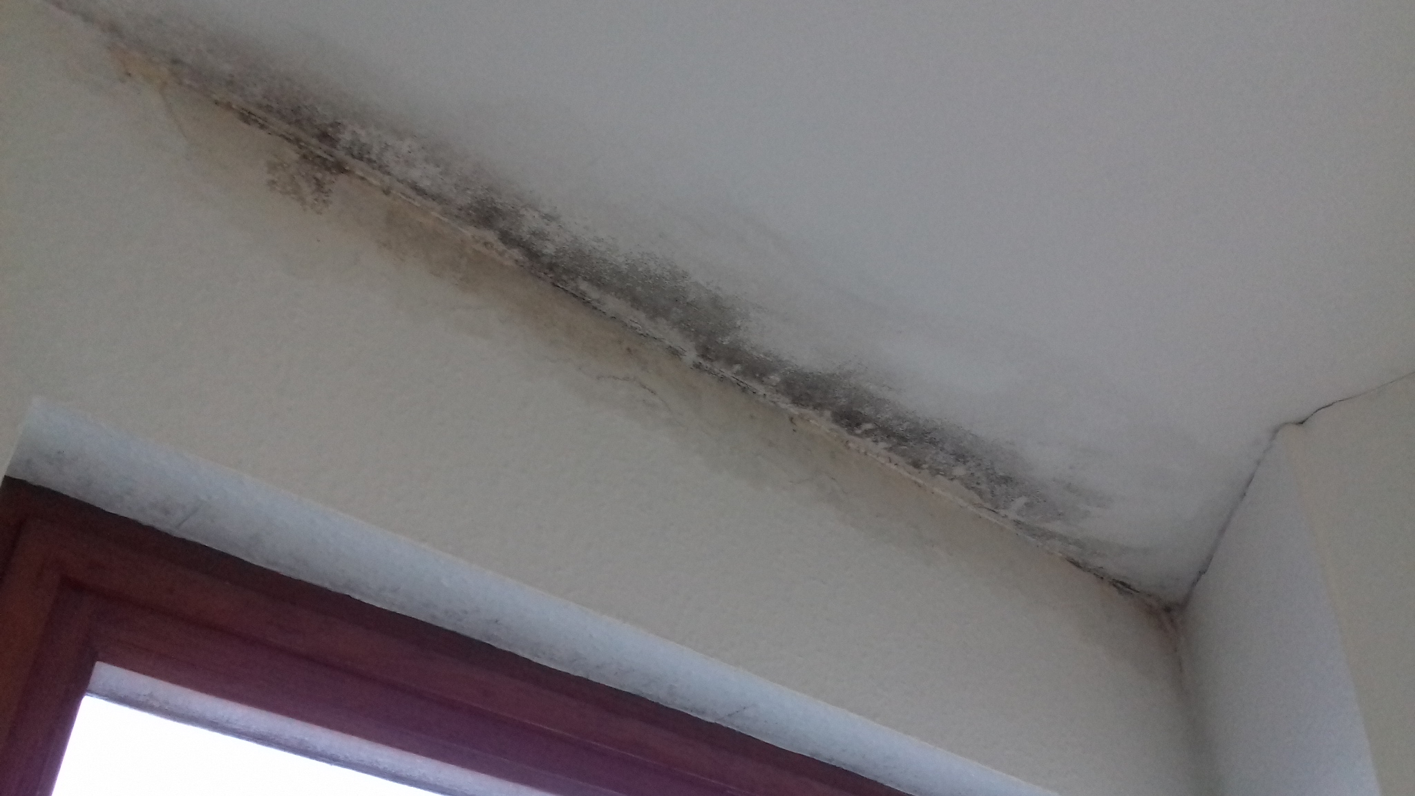 Water Condensation On Concrete Ceiling Causing Mould Contamiantion
