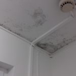 Mould to ceiling