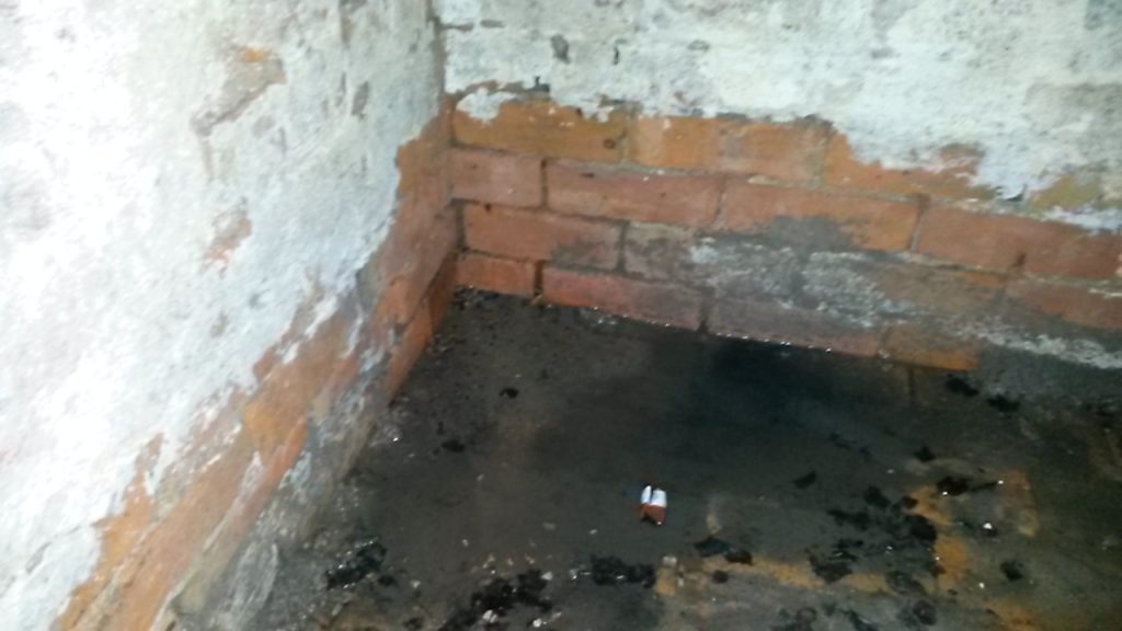 mould in basement 