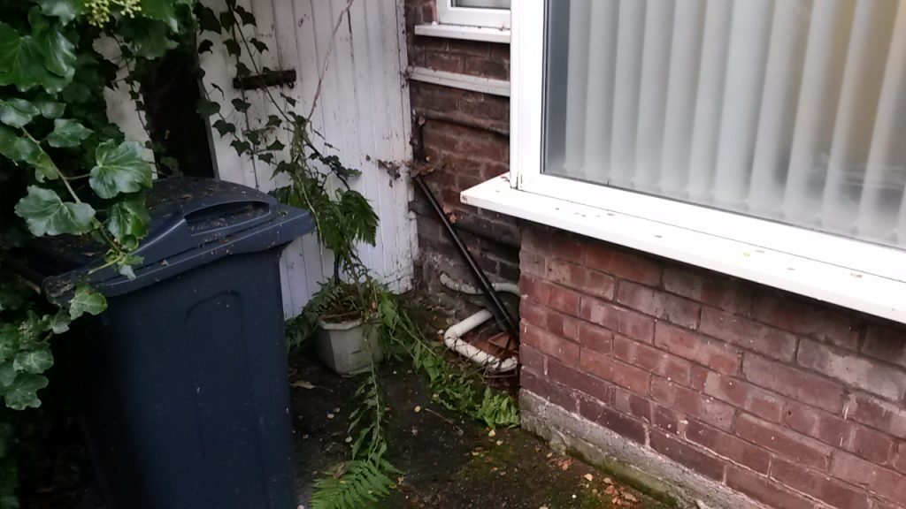 Mould spore contamination in building in Northwich 