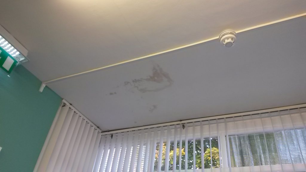 mould investigation in Langold in Yorkshire 