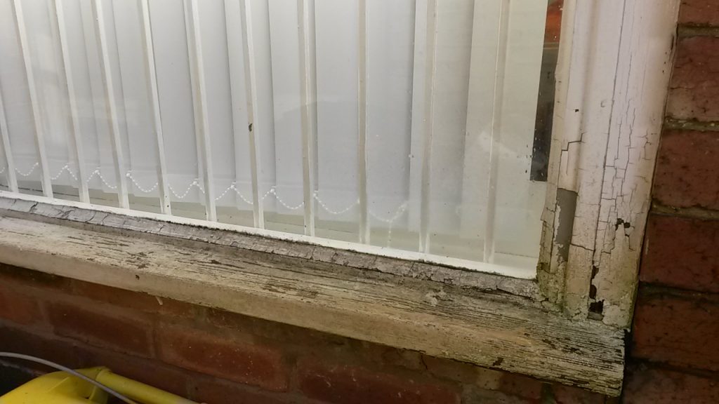 mould investigation in Langold in Yorkshire 