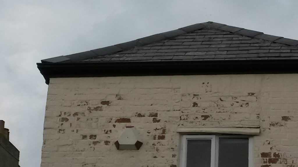 mould and damp investigation in card, mould surveys , damp survey