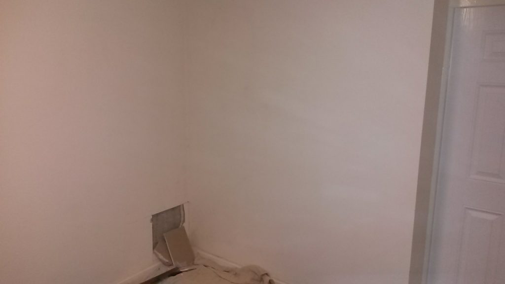 damp and mould investigation in Birmingham 