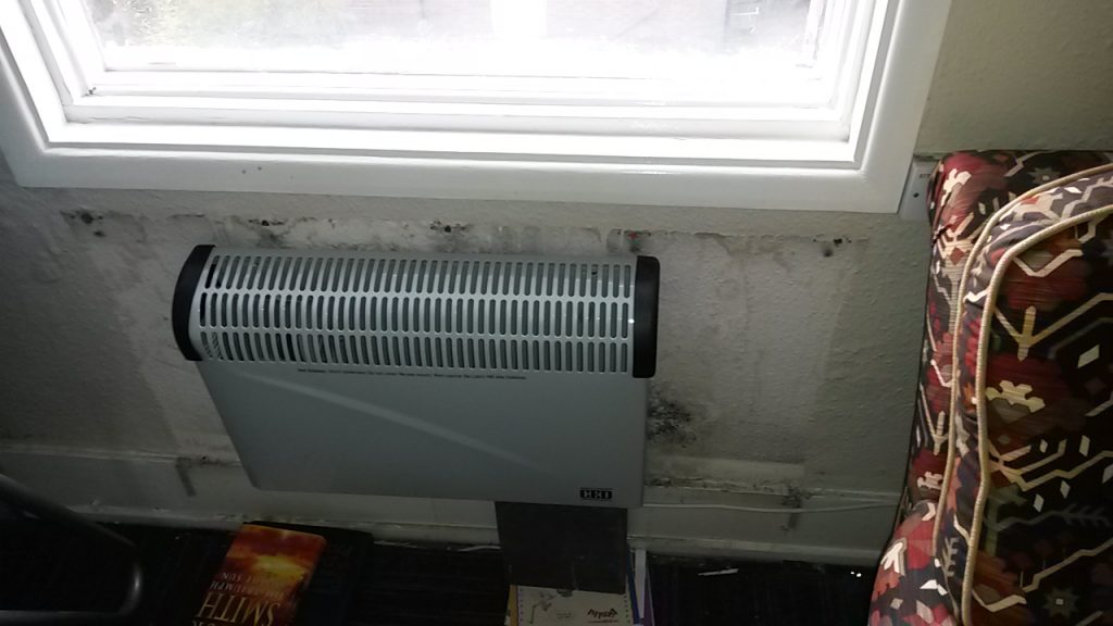 mould and damp in building in Tombridge