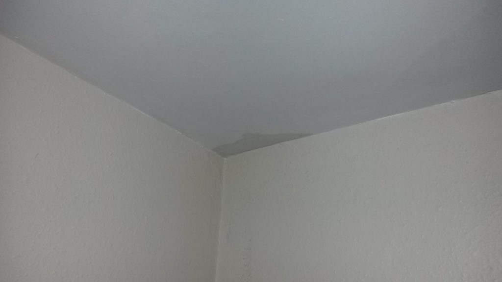 mould and damp in building in Tombridge