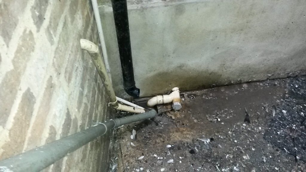 mould and damp in building in Tombridge
