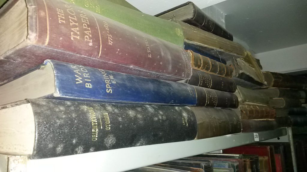 moulds on books, mould spores, mould damage 