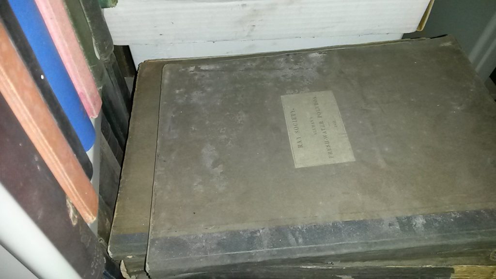 Mould contamination to books 