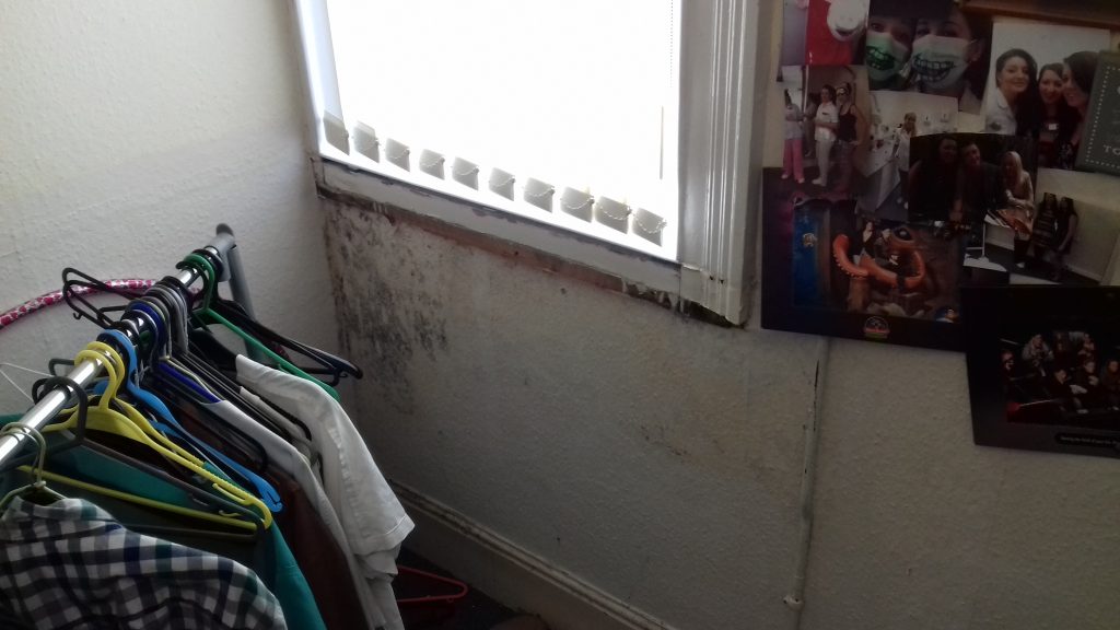 Indoor air quality assessment in skegness 