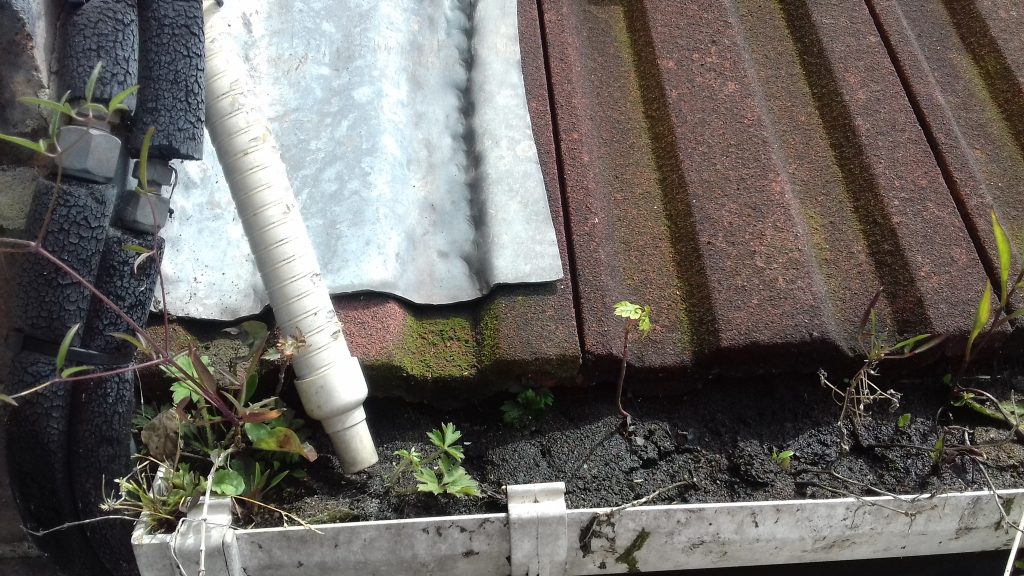 Blocked guttering outside dental practice