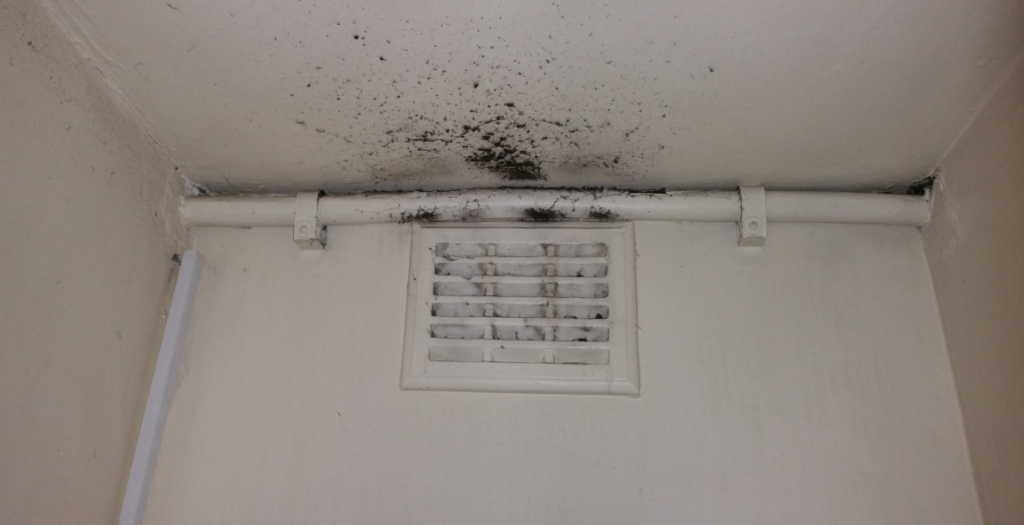 School suffering with poor indoor quality 