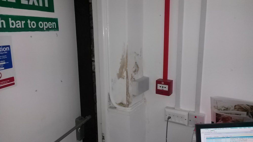 Damp survey in Cardiff