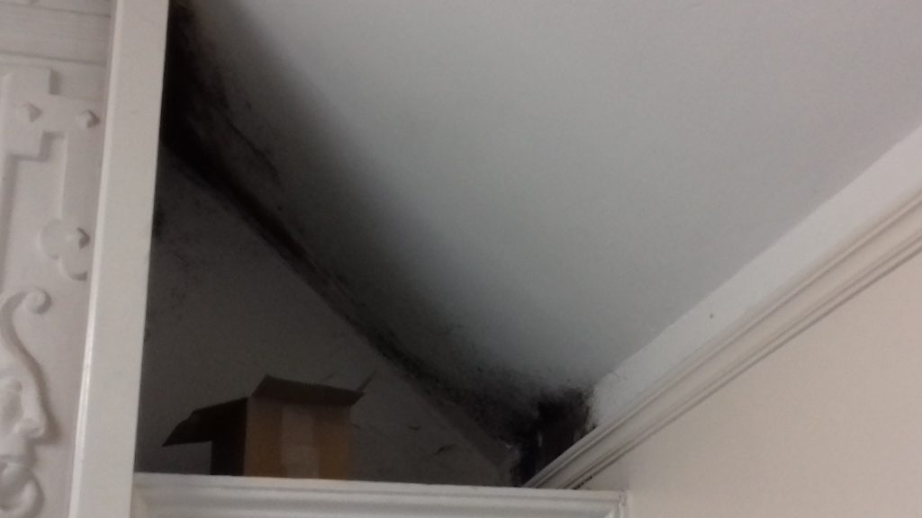 Mould investigation in a period building