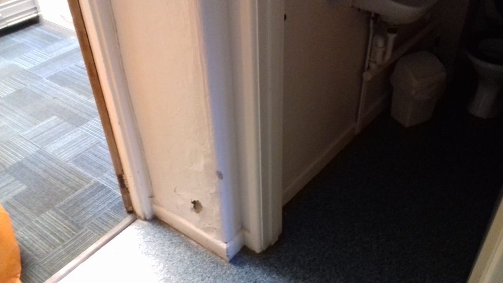 Mould investigation in a period building