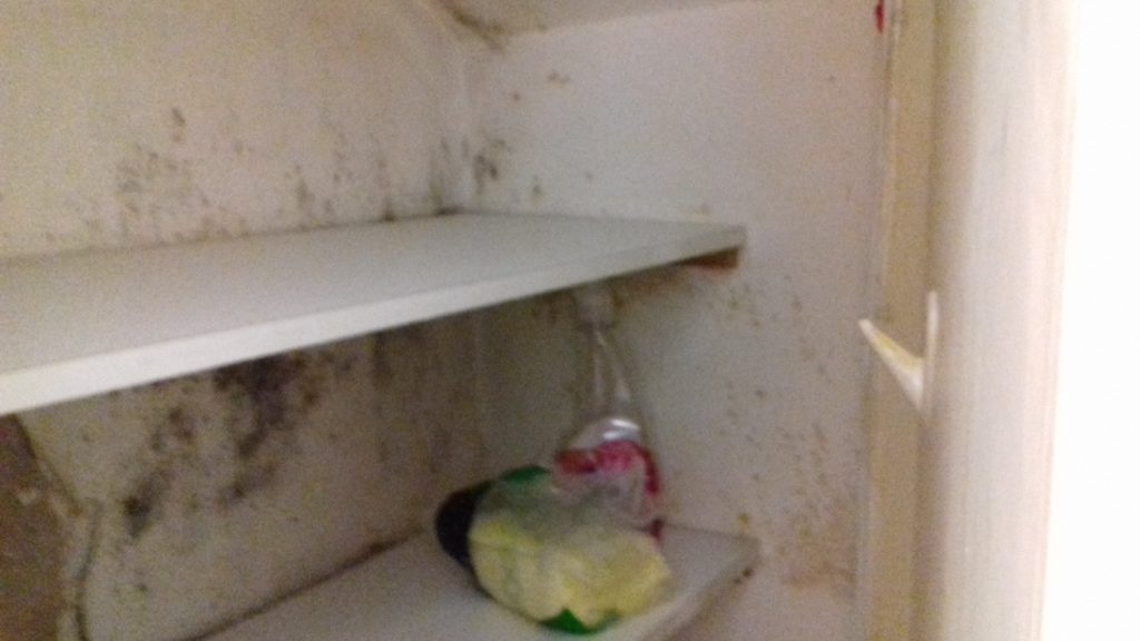 Mould investigation in a period building