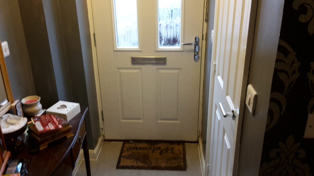 carrying out a damp and mould survey 