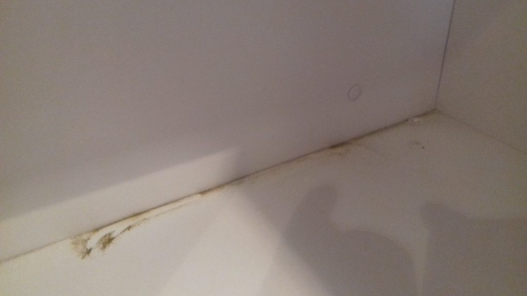 Conducting a damp survey