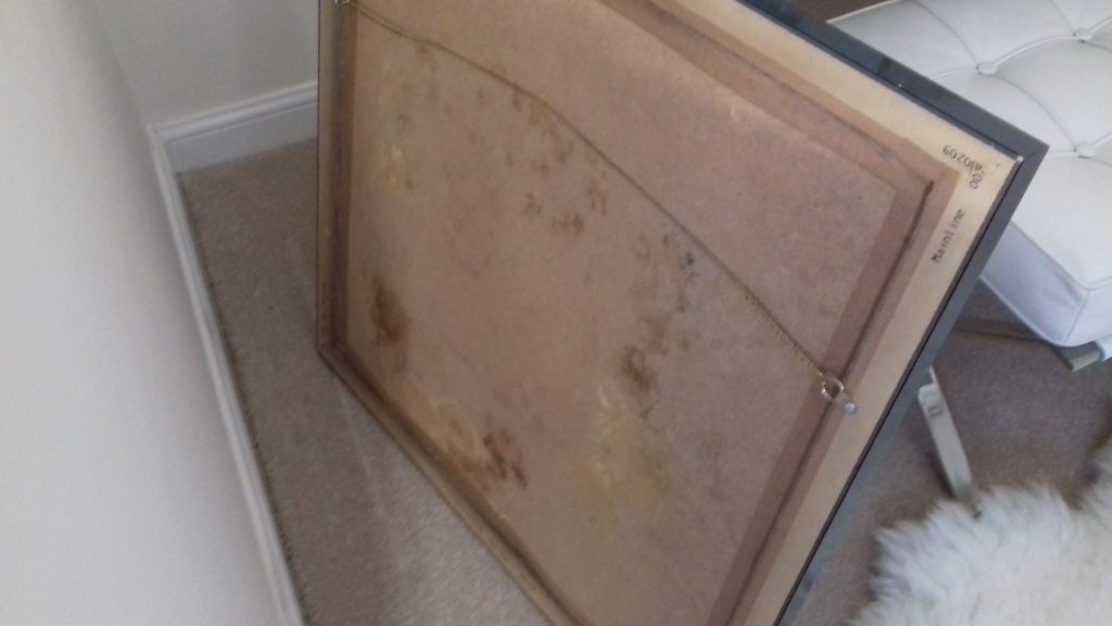 Conducting a damp survey