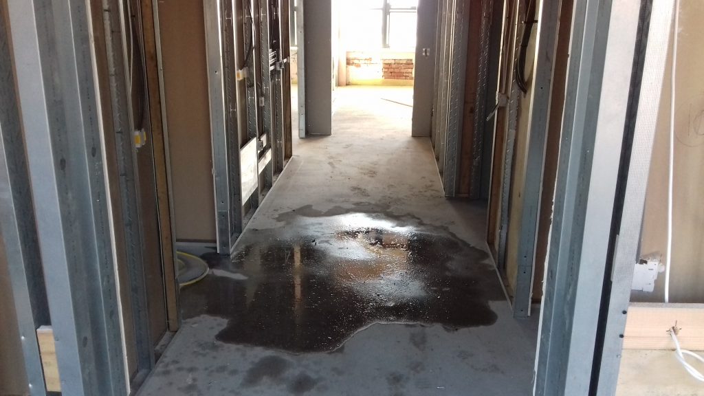 Mould investigation at development site 