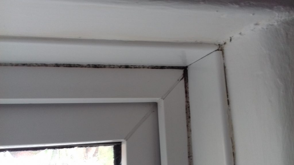 air quality assessment in a domestic property 