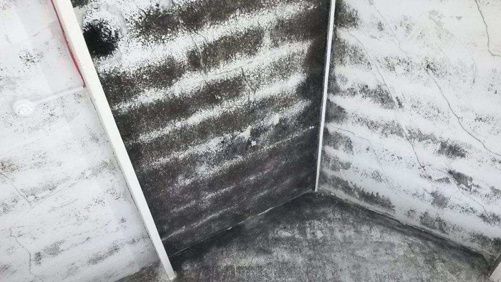 Mould investigation in Newark 