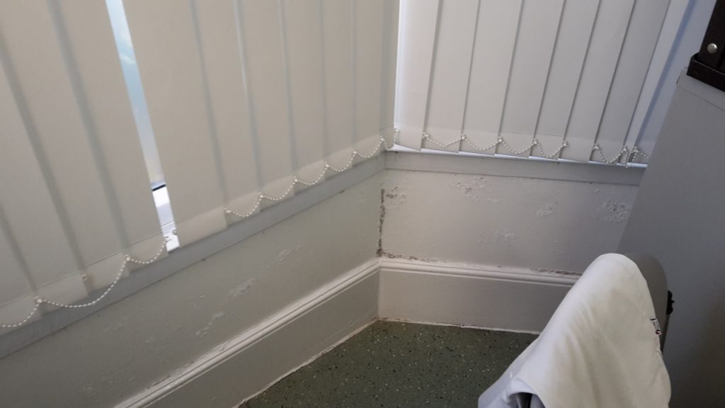 Damp and mould survey in exeter