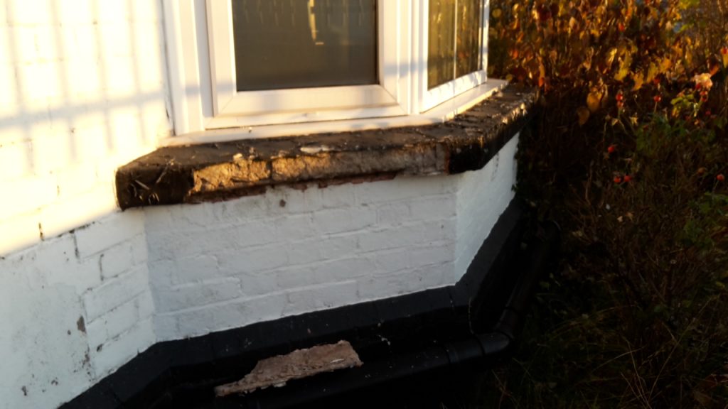 damp and mould survey in exeter 