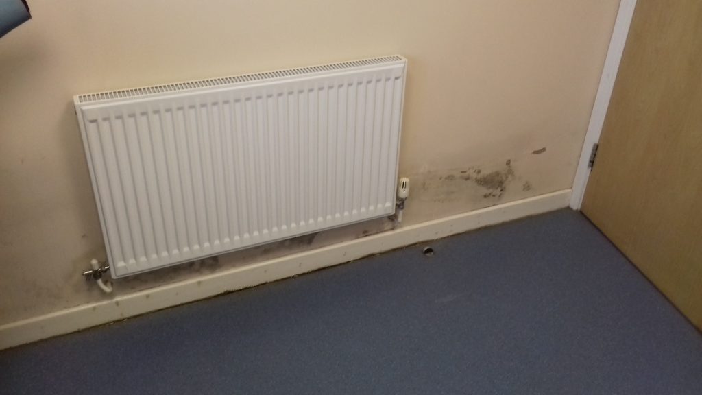 Damp and mpuld survey in Wrexham