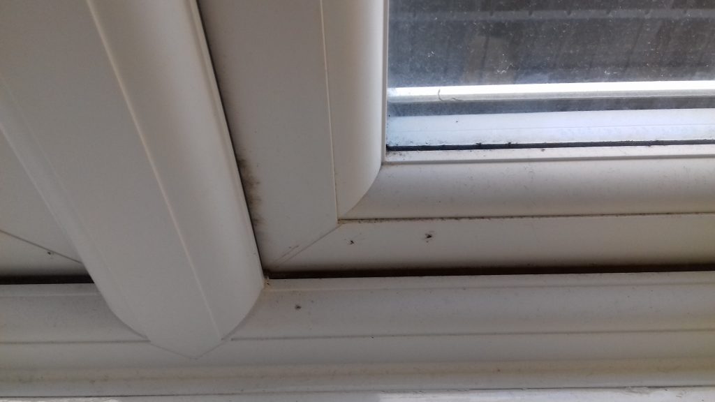 Indoor air quality assessment in Hemel Hempstead 