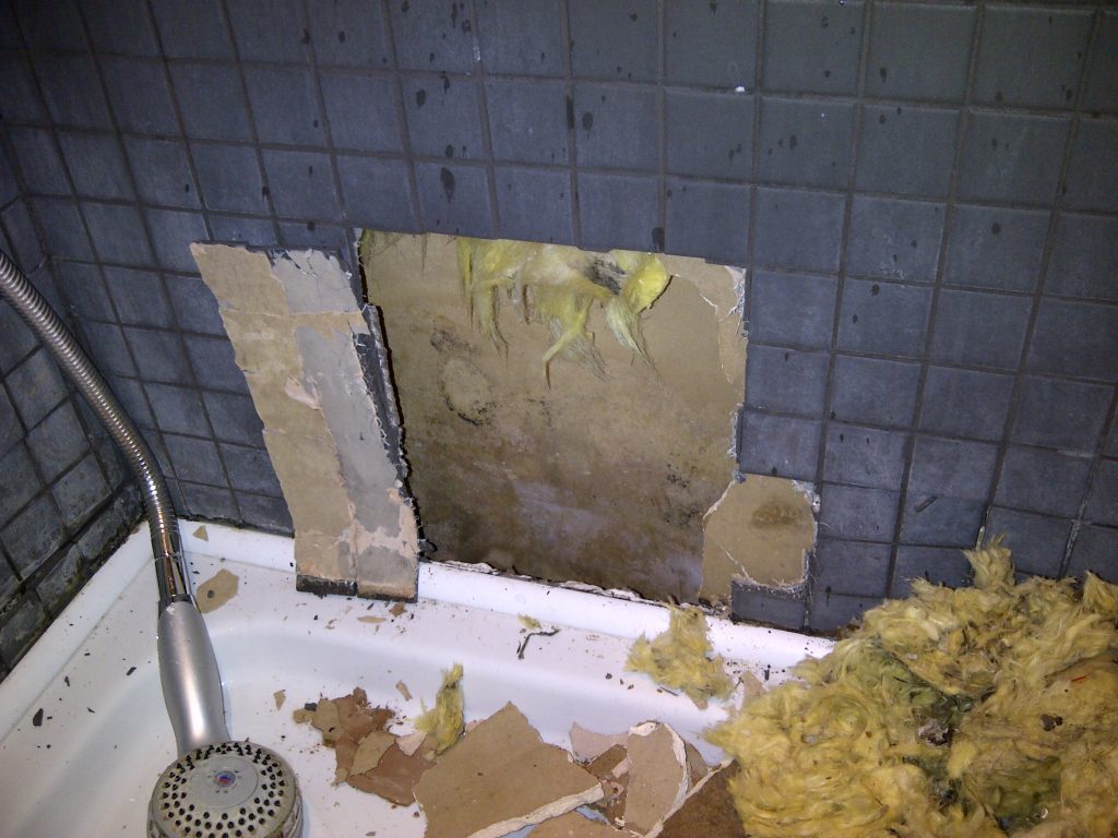 Idoor air quality assessment and damp survey 