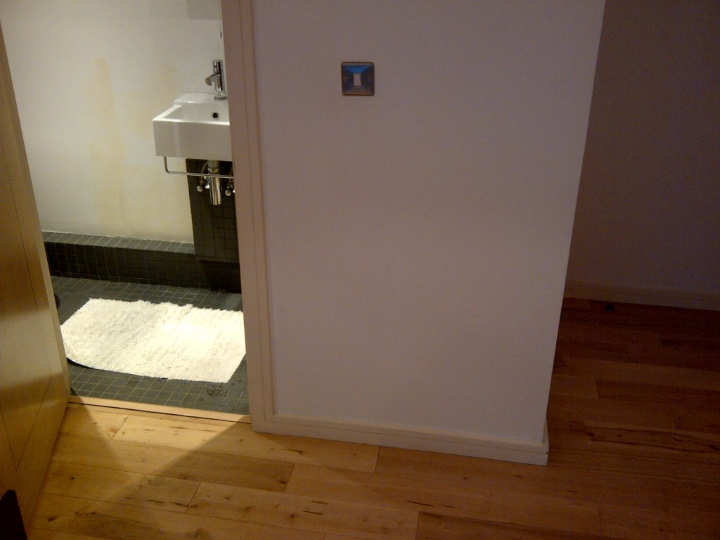indoor air quality assessment and damp survey 