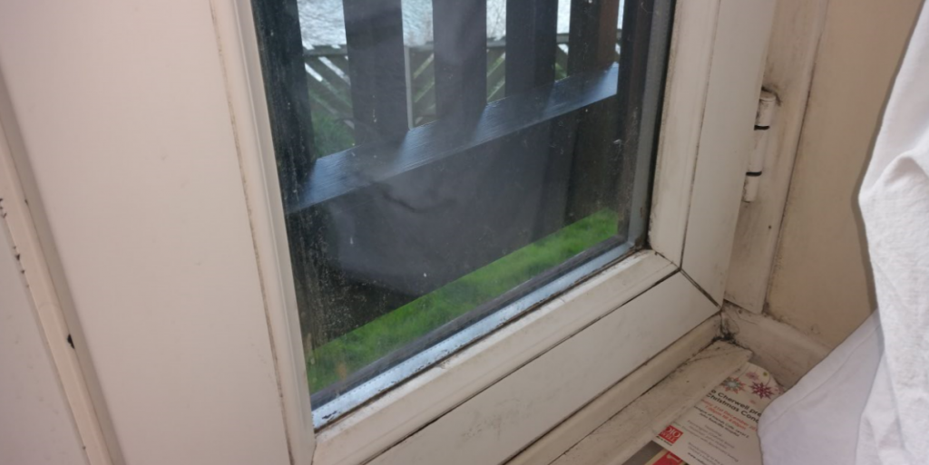 investigating reoccurring mould 