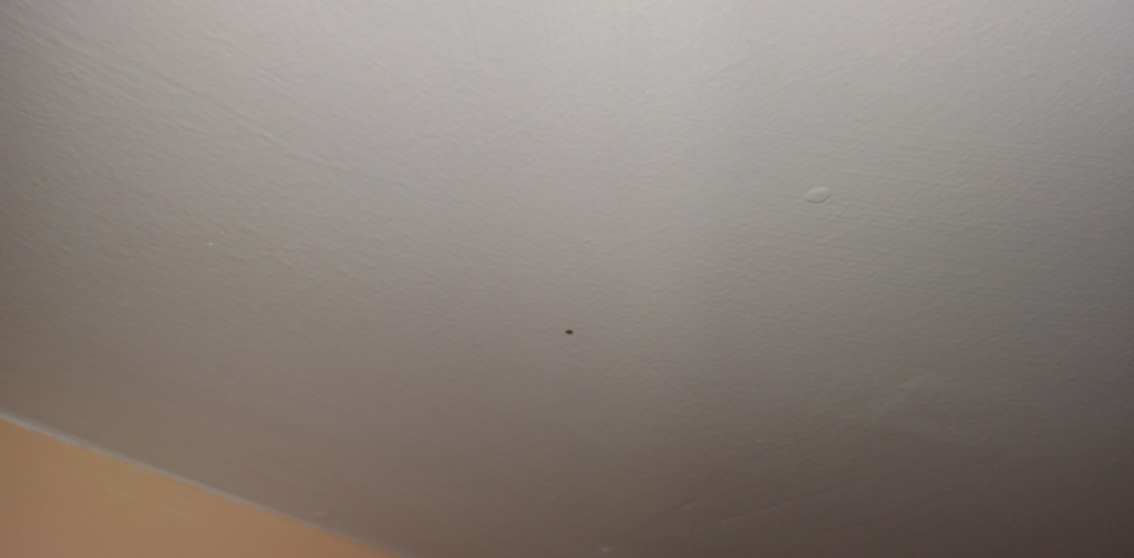 investigating reoccurring mould contamination 