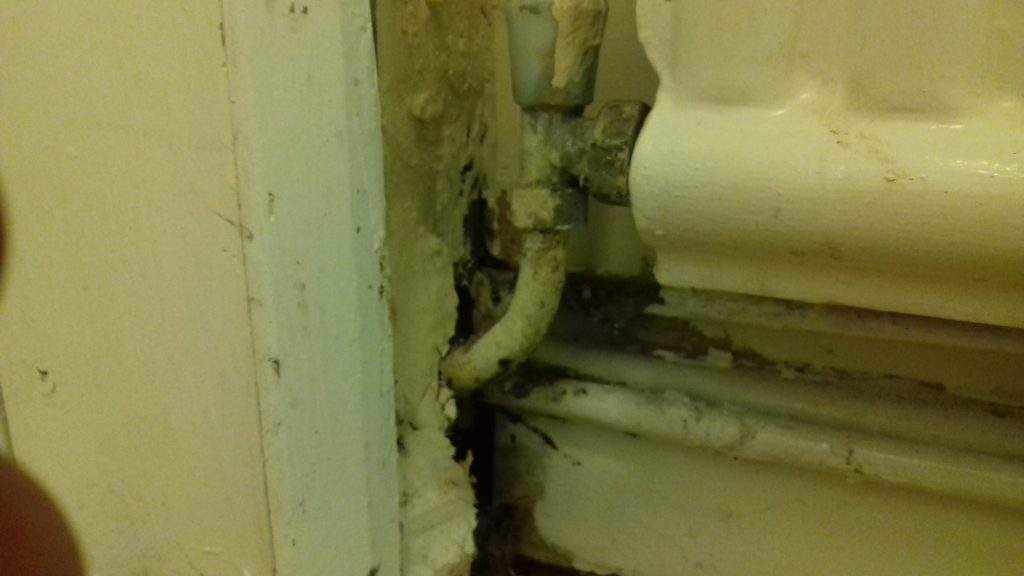 Investigating mould growth in Tunstall