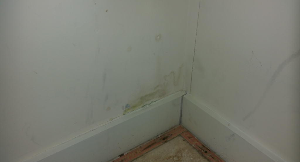 Evaluating the extent of water damage and fungal contamination